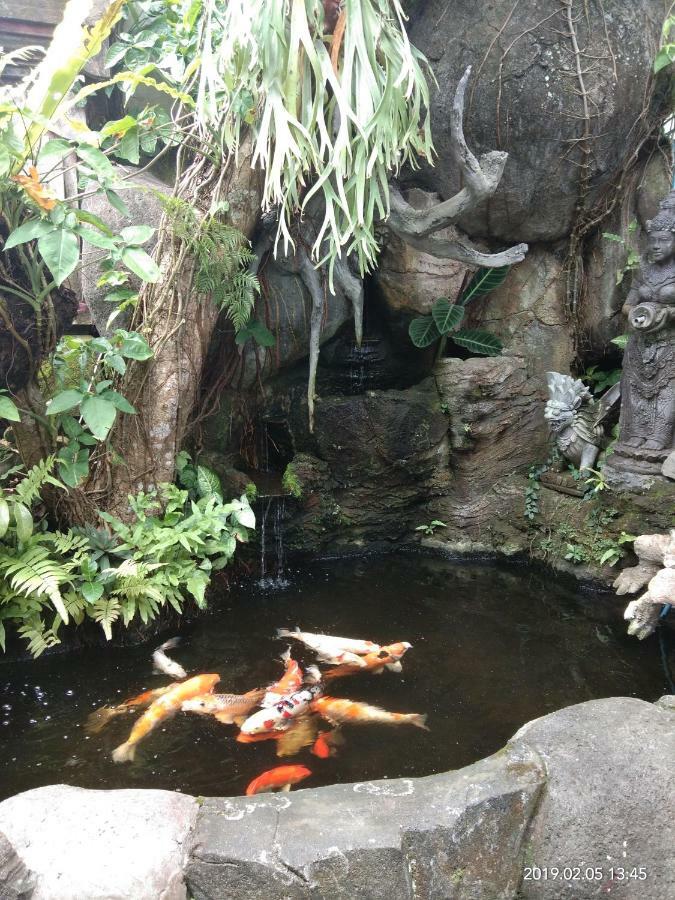 Dewi Antara Homestay Ubud Dış mekan fotoğraf